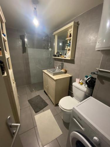 y baño con aseo, lavabo y ducha. en Charmant appartement avec terrasse privée, en Fontenay-sous-Bois