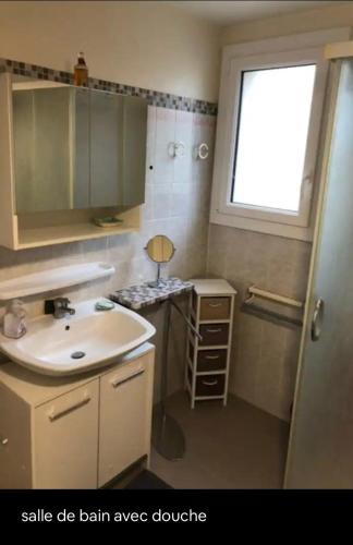 une salle de bain avec un lavabo et une fenêtre dans l'établissement La maison du marais, à Grand-Village-Plage