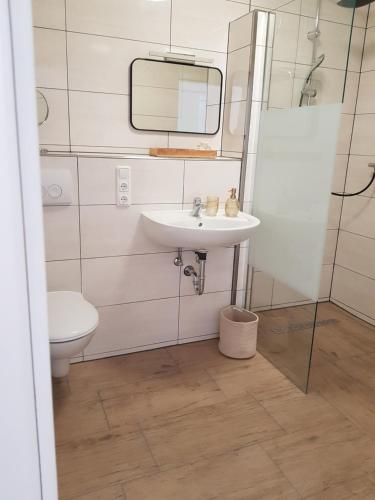 ein Badezimmer mit einem Waschbecken, einem WC und einem Spiegel in der Unterkunft Ferienwohnung Alte Landstube in Hürtgenwald