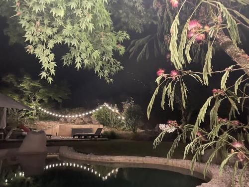 a garden with a pool and a string of lights at French Farmhouse between Lake & Mountain in Héry-sur-Alby