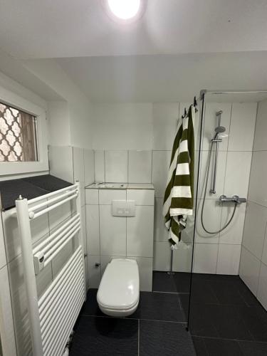 y baño blanco con aseo y ducha. en Charmante 2 Zimmer Souterrain en Hannover