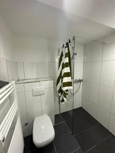 y baño blanco con aseo y ducha. en Charmante 2 Zimmer Souterrain en Hannover