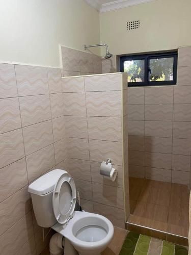ein Bad mit einem WC und einer Dusche in der Unterkunft Stone Terrace Lodge in Nkhotakota