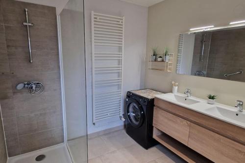 a bathroom with a washing machine and a sink at Le Grand Bourgeois in Appoigny