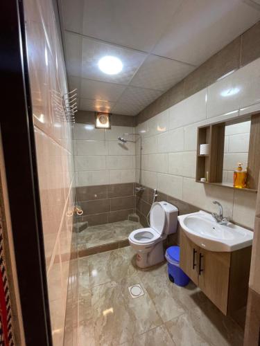 a bathroom with a toilet and a sink and a shower at Wadi Rum Magic Camp in Wadi Rum
