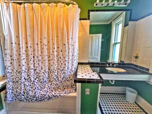 a bathroom with a shower curtain and a sink at Point Breeze Guest House in Pittsburgh