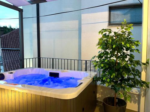 uma banheira de hidromassagem numa varanda com uma planta em Jacuzzi Apartment Mickey em Dubrovnik