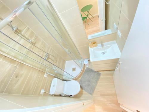 a bathroom with a toilet and a sink at ESTUDIOS GRAN VÍA in Madrid