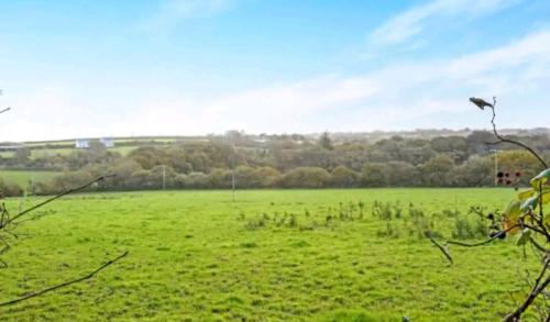 a field of green grass with a kite flying in the sky at Cosy Cottage in Saint Columb Major
