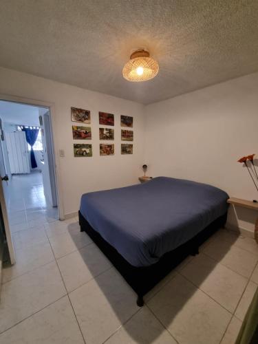 een slaapkamer met een blauw bed en een licht bij RoBe Apartmento in Bogota