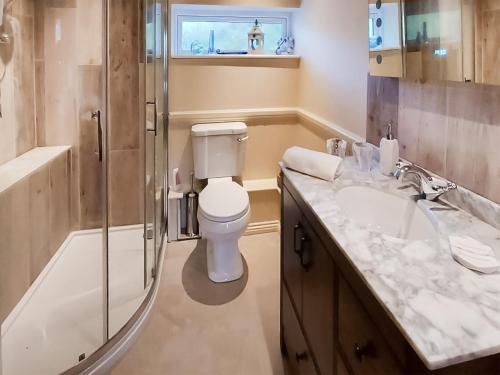 ein Bad mit einem WC, einem Waschbecken und einer Dusche in der Unterkunft The Lodge in Llangelynin