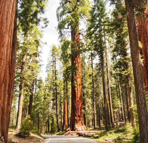 Un paisaje natural cerca de la casa vacacional