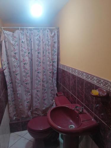 ein Badezimmer mit einem roten Waschbecken und einem WC in der Unterkunft MARCAPURA in Nazca