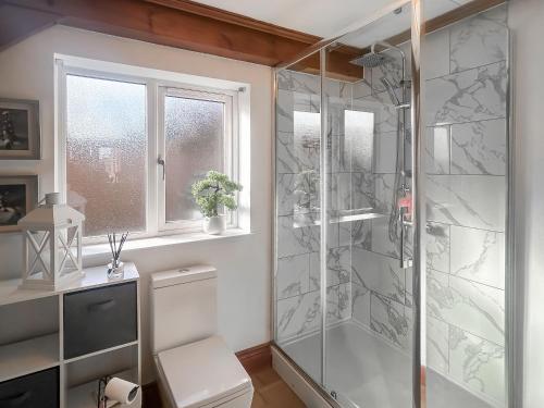 a bathroom with a shower and a toilet and a window at The Lodge in Gloucester