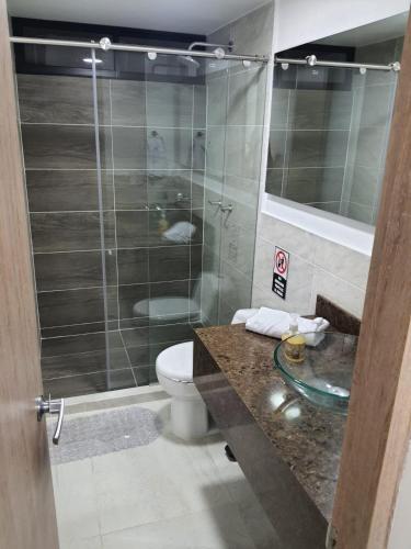 uma casa de banho com um WC e uma cabina de duche em vidro. em HOTEL MELAO em Palmira