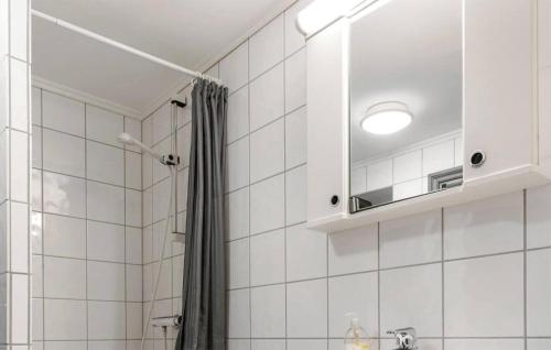 a bathroom with a shower curtain and a mirror at Gorgeous Apartment In Hemsedal With Wifi in Hemsedal