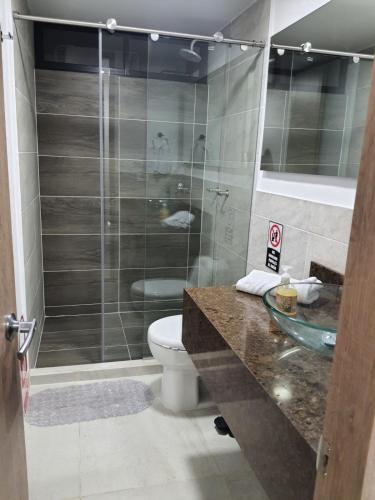 La salle de bains est pourvue de toilettes et d'une douche en verre. dans l'établissement Hotel Melao, à Palmira