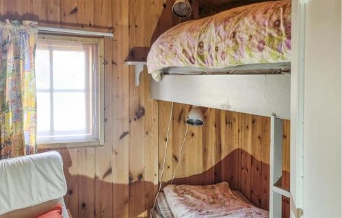 1 dormitorio con 2 literas y ventana en 3 Bedroom Beautiful Home In Rmskog en Rømskog