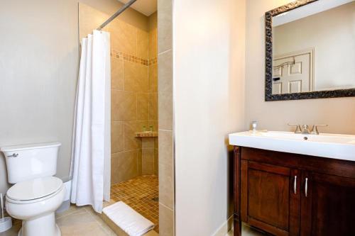 a bathroom with a toilet and a sink and a shower at The Avonlea Inn in Stratford