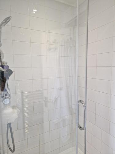 a shower with a glass door in a bathroom at Cosy Hadleigh in Hadleigh