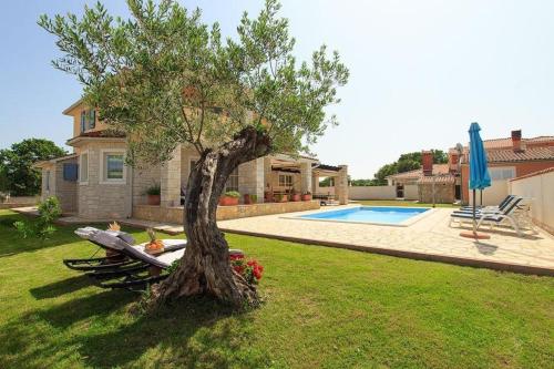 un arbre installé dans la cour à côté d'une piscine dans l'établissement Ferienhaus mit Privatpool für 9 Personen ca 200 qm in Gajana, Istrien Istrische Riviera, à Gajana