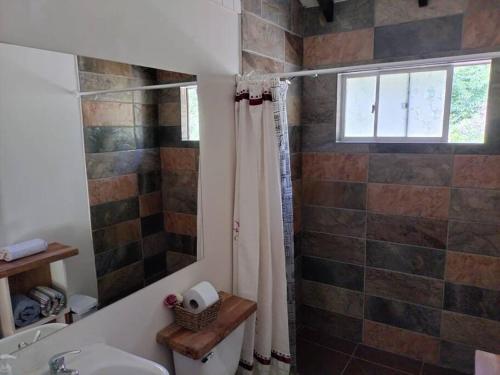 a bathroom with a shower and a sink at Cabaña Palual in El Manzano