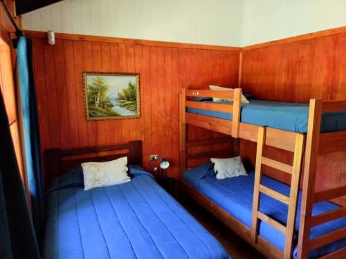a bedroom with two bunk beds and a ladder at Cabaña Palual in El Manzano