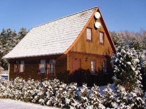 a wooden house with white flowers in front of it at Ferienwohnung für 4 Personen ca 60 qm in Nossentiner Hütte, Mecklenburg-Vorpommern Mecklenburgische Seenplatte in Nossentiner Hütte