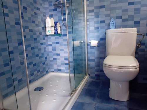 W łazience znajduje się toaleta i przeszklony prysznic. w obiekcie Maison Hendaye, 3 pièces, 4 personnes - FR-1-239-1034 w mieście Hendaye