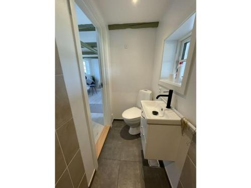 a bathroom with a toilet and a sink at Ocean View Modern Retreat in Neksø