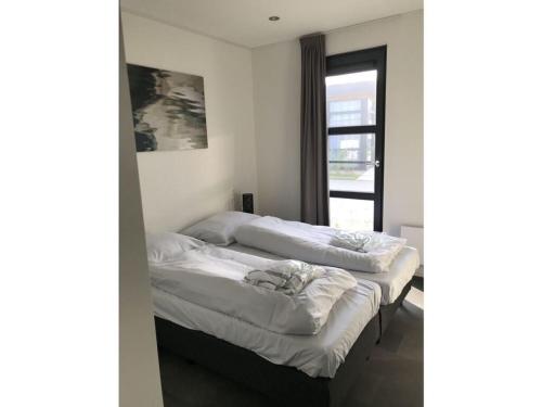 twee bedden in een kamer met een raam bij Sonnenplätzchen in Enkhuizen
