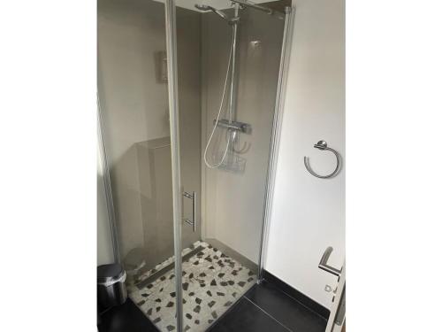 a shower with a glass door in a bathroom at This year with lake view in Pönitz am See