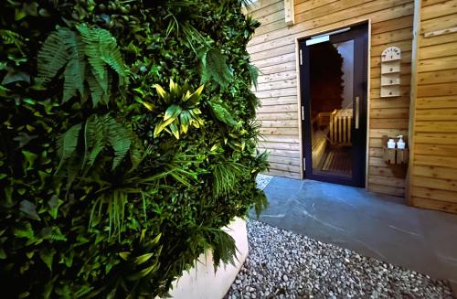 a doorway to a building with a green wall at AMBER HOTEL Bavaria in Bad Reichenhall
