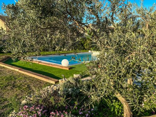 - une piscine dans une cour avec un arbre dans l'établissement Le Petit Valexiane Piscine & Jardin, à Maillane