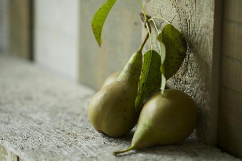 two green pears sitting on a wall at Pear Tree Inn Whitley in Whitley