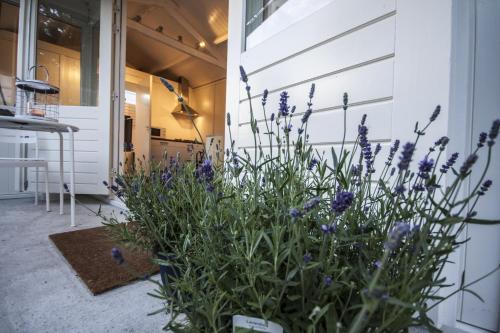 Afbeelding uit fotogalerij van Tiny House Madame Jeanette in Zandvoort