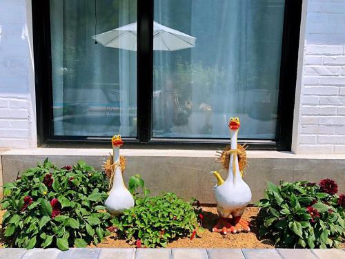 three fake ducks standing in a garden in front of a window at 隐谷私院The Great Wall Valley in Gubeikou