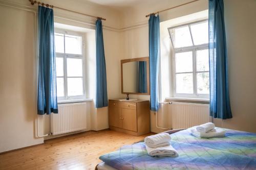 1 dormitorio con cortinas azules, 1 cama y espejo en Apartmaji PAJTLER, en Zgornja Kungota