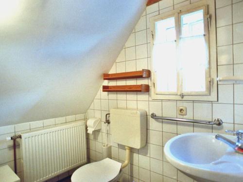 a bathroom with a sink and a toilet and a window at De Höller - Dakappartement met Toren 