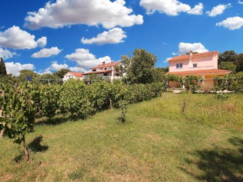 eine Reihe von Trauben in einem Weinberg mit einem Haus in der Unterkunft Studio für 3 Personen ca 36 qm in Pula-Fondole, Istrien Istrische Riviera in Valbandon