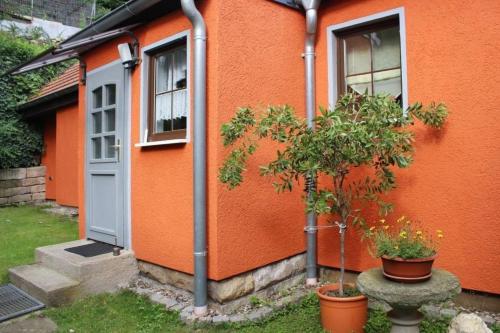 an orange house with a tree in front of it at Gemütliches Ferienhaus in Pirna mit Großem Garten in Pirna