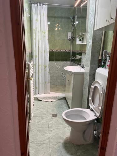 a bathroom with a toilet and a shower and a sink at Medeea in Zalău