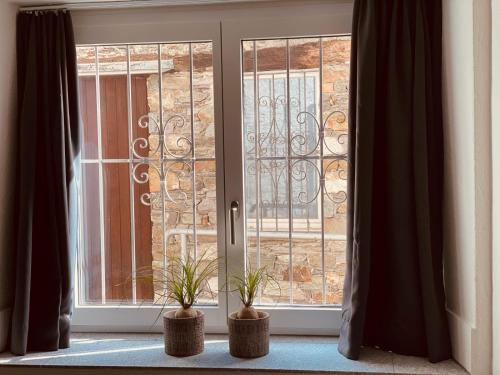 a window with two potted plants in front of it at Villa Sophia in Gerra