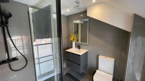 a bathroom with a toilet and a sink and a shower at Spire attic apartment no kitchen in Dublin