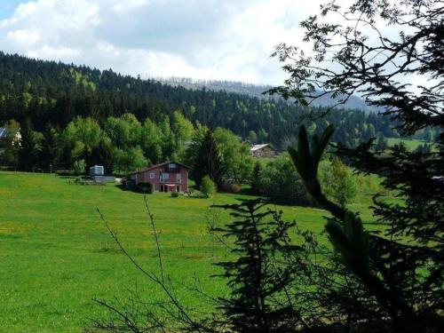 un gran campo verde con una casa en el medio en Ferienwohnung für 2 Personen ca 40 qm in Neureichenau, Bayern Bayerischer Wald en Neureichenau
