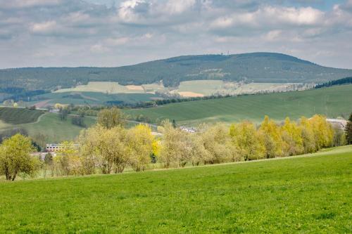 a green field with trees and hills in the background at Lanškroun apartmány v centru in Lanškroun