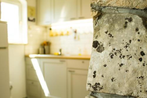 eine Küche mit weißen Schränken mit schwarzen Flecken an der Wand in der Unterkunft Studio für 3 Personen ca 30 qm in Njivice, Kvarner Bucht Krk in Njivice