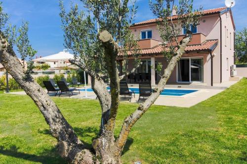 un árbol en un patio al lado de una casa en Ferienhaus mit Privatpool für 8 Personen ca 178 qm in Pula, Istrien Istrische Riviera, en Pula
