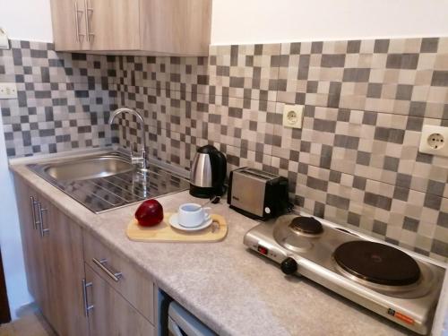 a kitchen counter with a sink and a toaster at Nikos Apartments 1 in Kavos