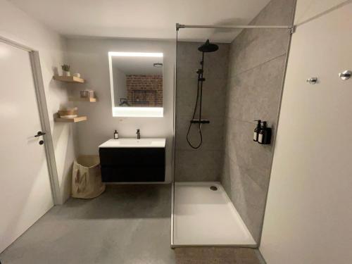 a bathroom with a glass shower and a sink at Boven de paarden @ de Hoeveschuur in Riemst